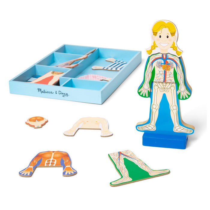 Magnetic Human Body Play Set X7
