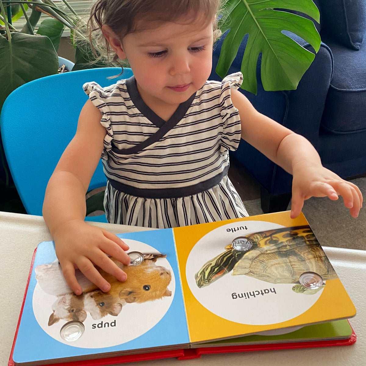 Poke-a-Dot: Pet Families Board Book Z2
