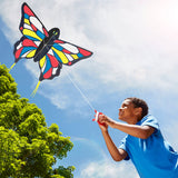 Beautiful Butterfly Kite A2