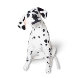 Dalmatian Giant Stuffed Animal U5
