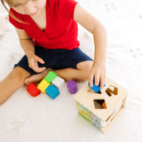 Disney Mickey Mouse & Friends Wooden Shape Sorting Cube R3