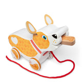 Feed, Walk & Poo Pup Play Set H6