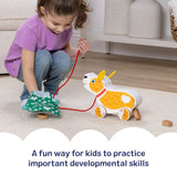 Feed, Walk & Poo Pup Play Set H6