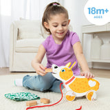 Feed, Walk & Poo Pup Play Set H6