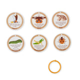 Let’s Explore Terrarium Observations Play Set W6