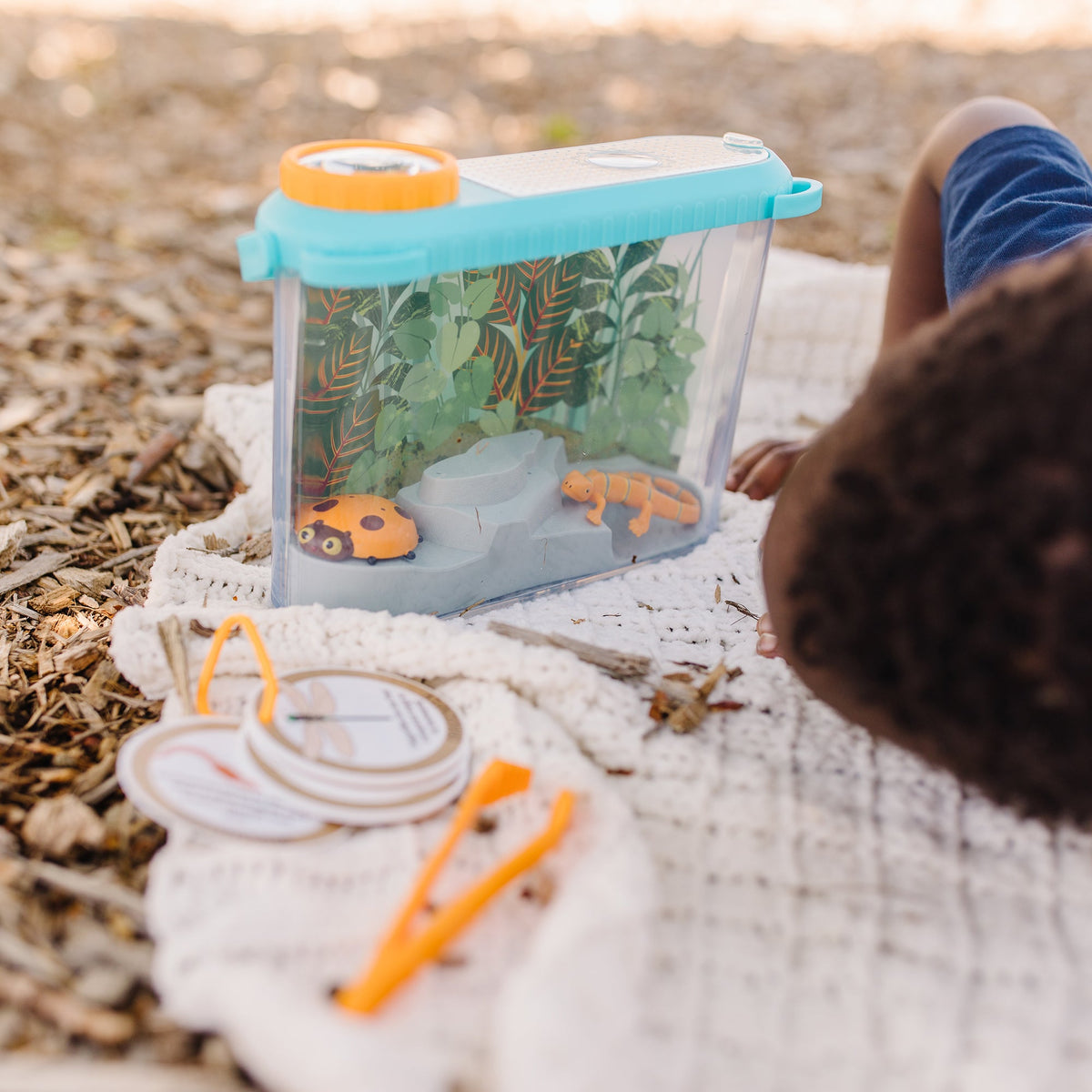 Let’s Explore Terrarium Observations Play Set W6