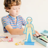 Magnetic Human Body Play Set X7