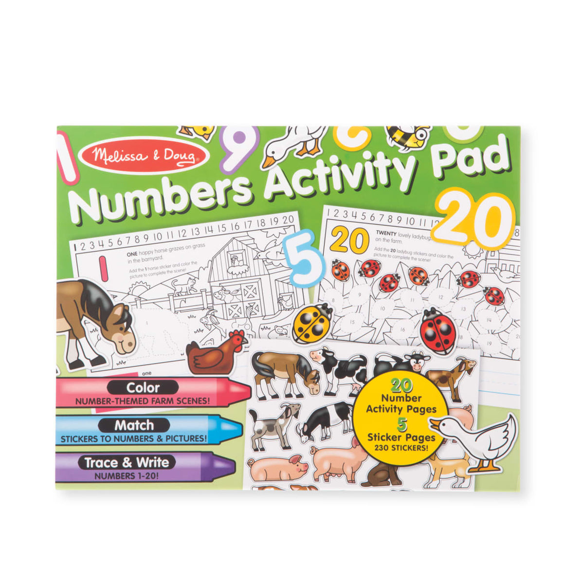 Numbers Activity Pad D8