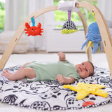 Ocean Easy-Fold Play Gym Q2