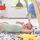 Ocean Easy-Fold Play Gym Z9