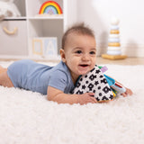 Ocean Tummy Time Triangle Baby Toy N3