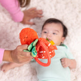 Peek-a-Boo Berry Take-Along Toy J8