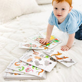 Poke-A-Dot Jumbo Number Learning Cards M8