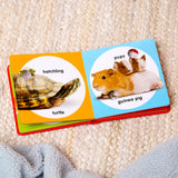 Poke-a-Dot: Pet Families Board Book Z2