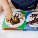 Poke-a-Dot: Wild Animal Families Board Book F3