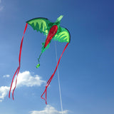 Winged Dragon Shaped Kite Y4