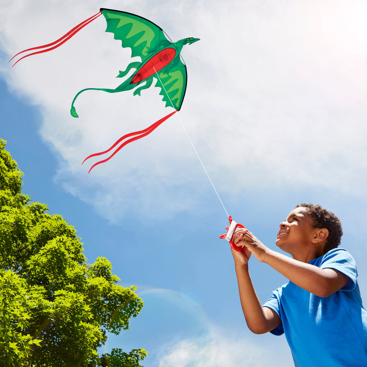 Winged Dragon Shaped Kite Y4