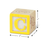 Wooden ABC/123 Blocks R3