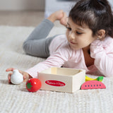 Wooden Food Groups Play Set – Produce I9